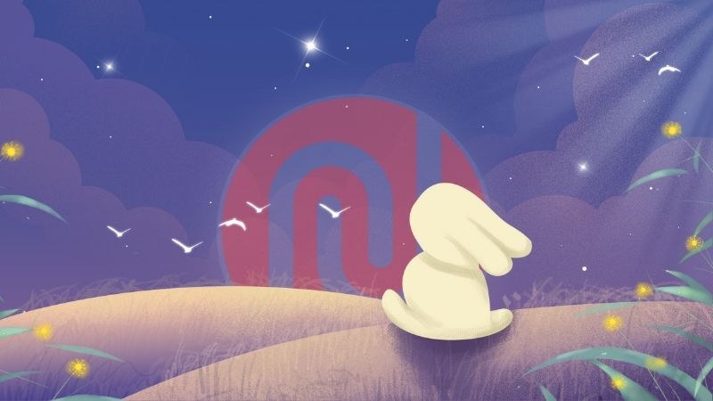 Novebo’da Web Roman Yazmaya Başlamadan Önce Doğru Türü Seçmek İçin 7 Soru